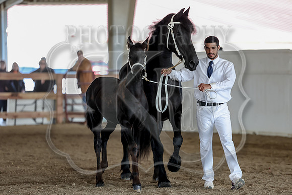 KraeOHK-0346