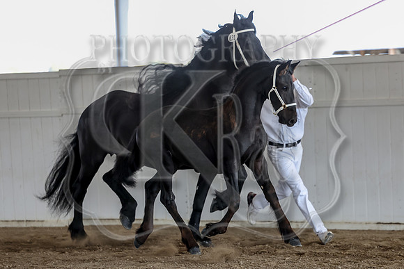 KraeOHK-0463