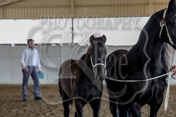 KraeOHK-2155