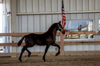 KraeOHK-3715
