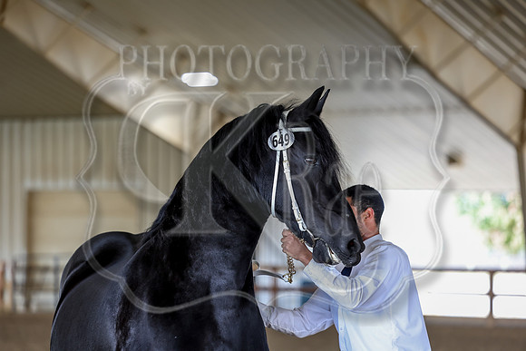 KraeOHK-7995