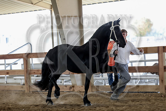 KraeOHK-1063