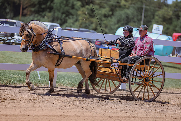 BN5A7438