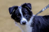 LgcySa-3026