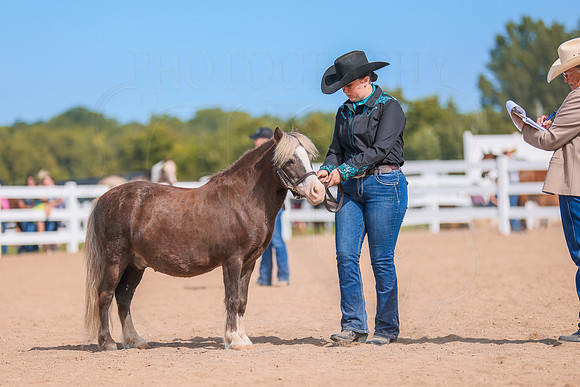 BN5A0185