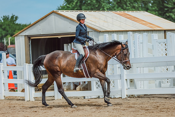 BN5A1559