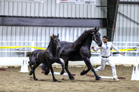 BN5A2547
