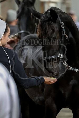 KRaeINKS-0761