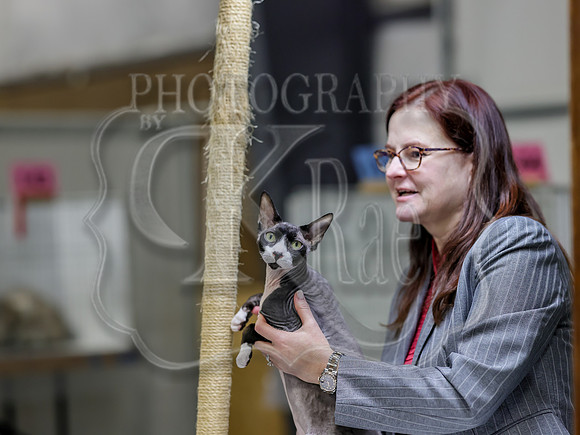 CatShowSat-0815