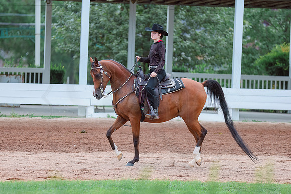 BN5A5686