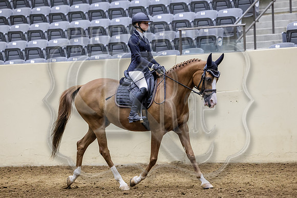 LgcySu-6030