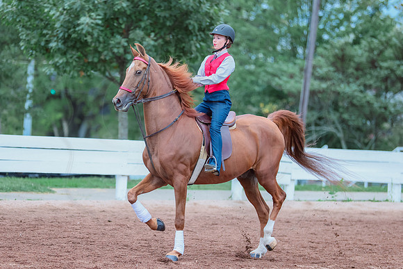 BN5A7991
