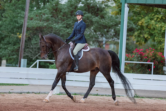 BN5A8942