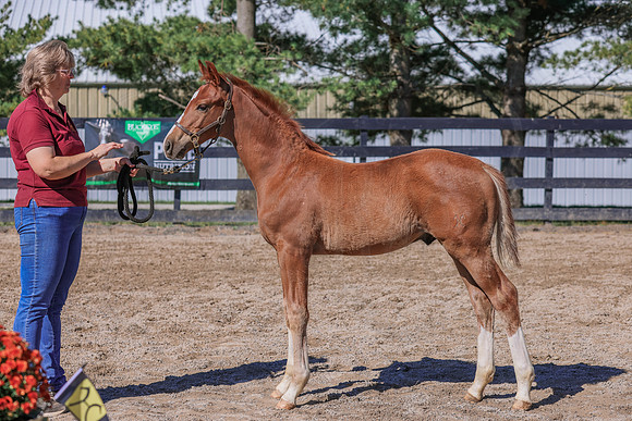 BN5A4081