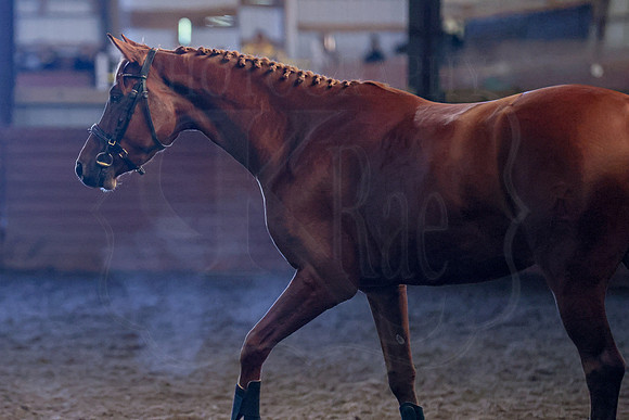 BN5A1849