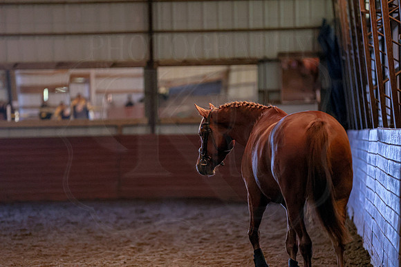 BN5A1846