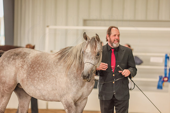 BN5A7621