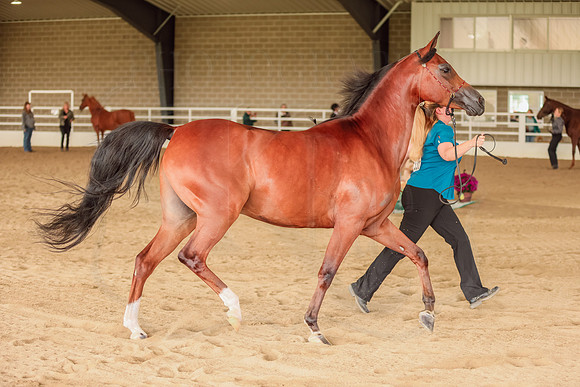 BN5A8180