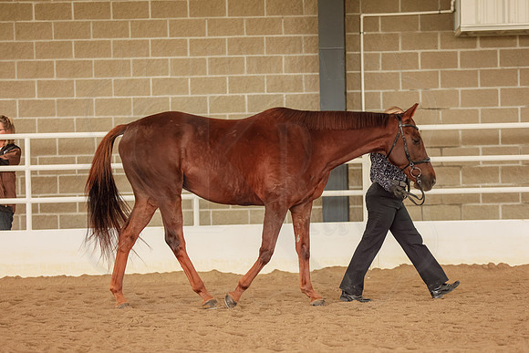 BN5A8222