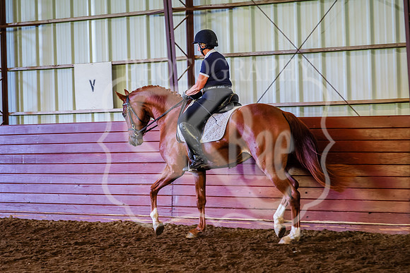 BN5A1334