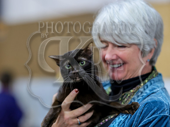 CatShowSat-0745
