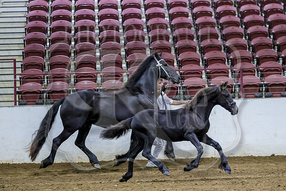 BN5A3622