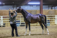 SahibaF-3438