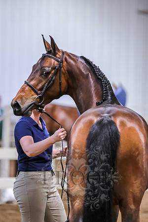 IMG_0047