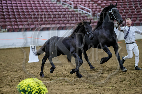 BN5A3723