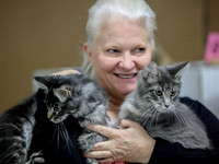 CatShowSat-0055