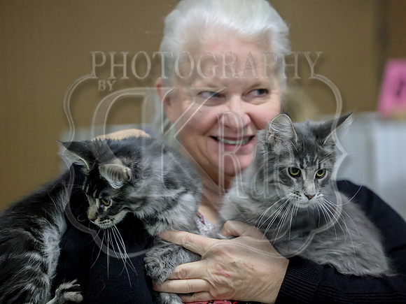 CatShowSat-0055