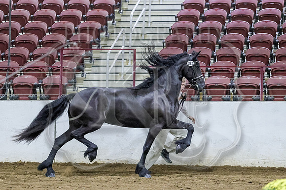 BN5A5405