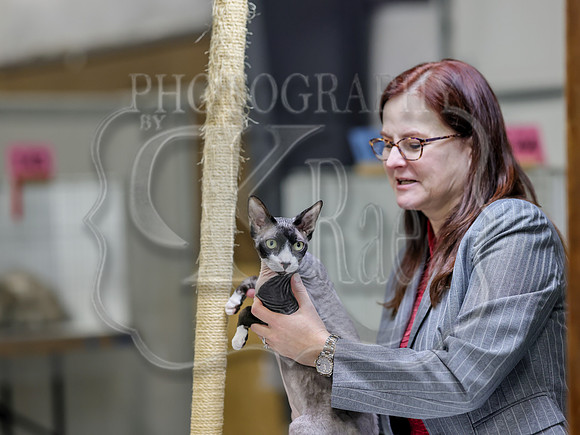 CatShowSat-0821