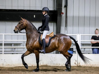 sssSat-5386