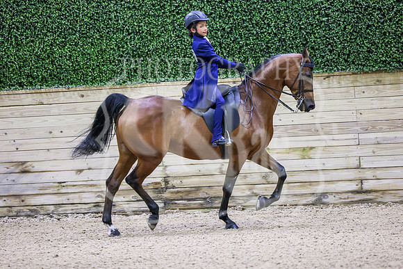 BN5A3428