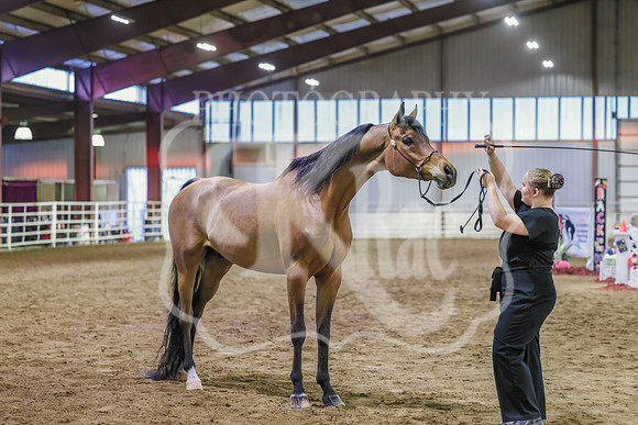 BN5A6935