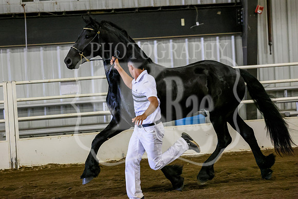 BN5A1980