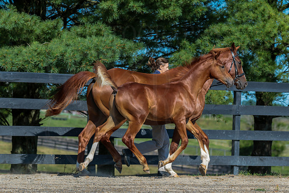 IMG_1635