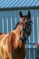 IMG_0012