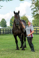 JRStables