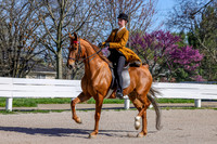 BAHA-0439
