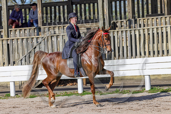 BAHA-2858