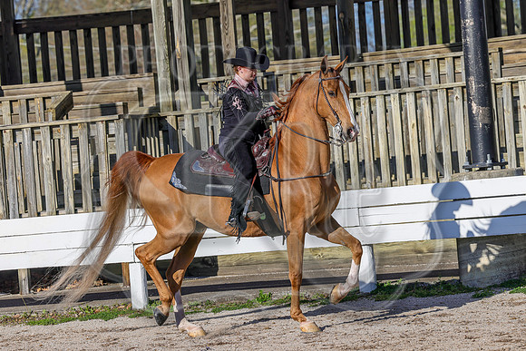 BAHA-3406