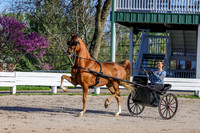 BAHA-3882