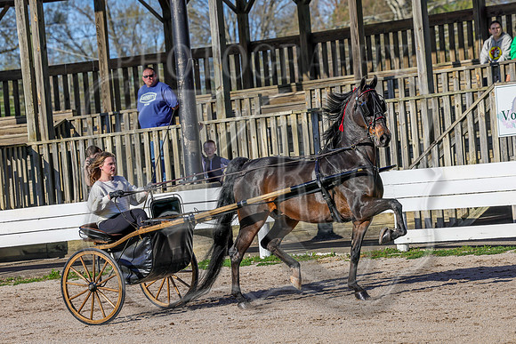 BAHA-4235