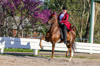 BAHA-4738
