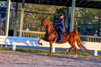 BAHA-5662