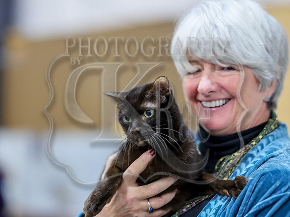 CatShowSat-0750