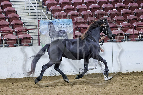 BN5A1642-2