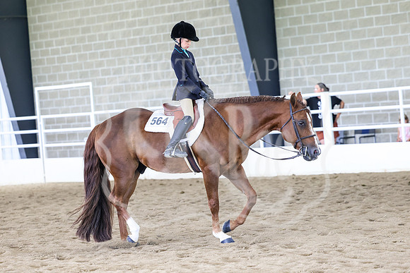 BN5A1369